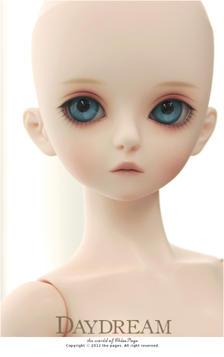 日本国内純正品 デイドリーム サリー おもちゃ/人形